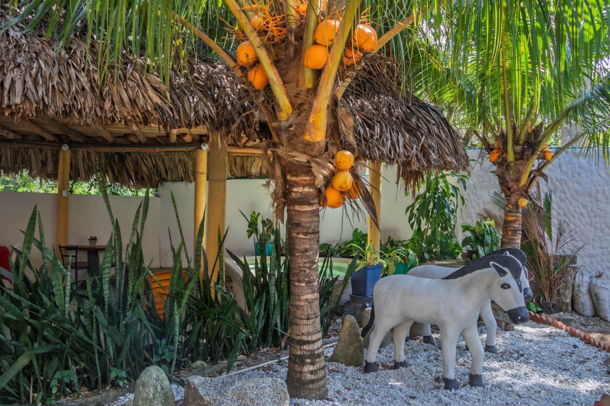 Hotel Manakin Tayrona El Zaino Zewnętrze zdjęcie